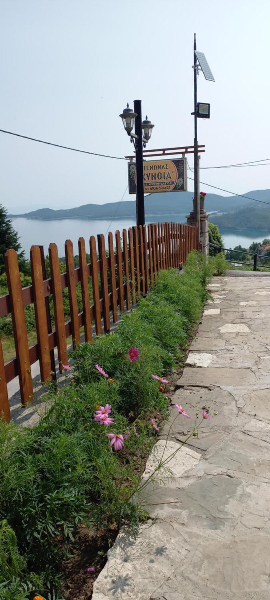 נאוכורי Kynthia Guesthouse מראה חיצוני תמונה