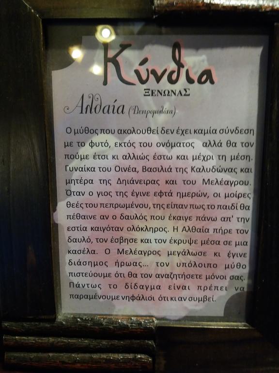נאוכורי Kynthia Guesthouse מראה חיצוני תמונה